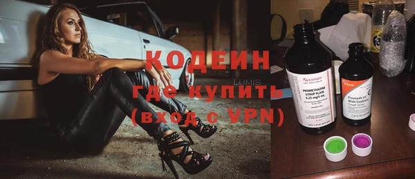 прущие грибы Гусев