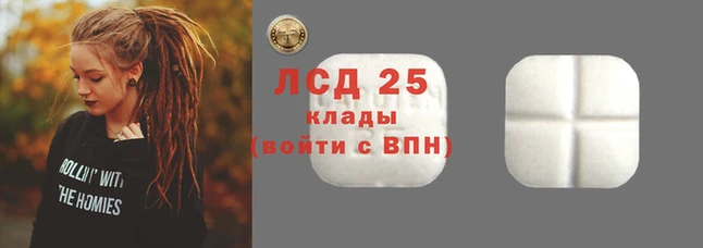 ПСИЛОЦИБИНОВЫЕ ГРИБЫ Дмитриев