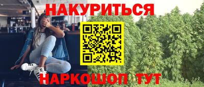 гидра Апшеронск