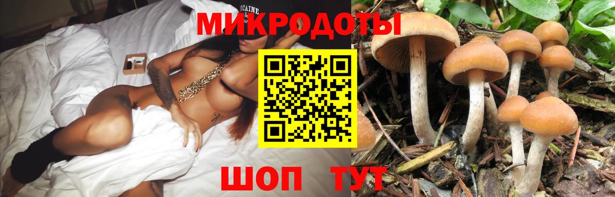 Галлюциногенные грибы мицелий Кондопога