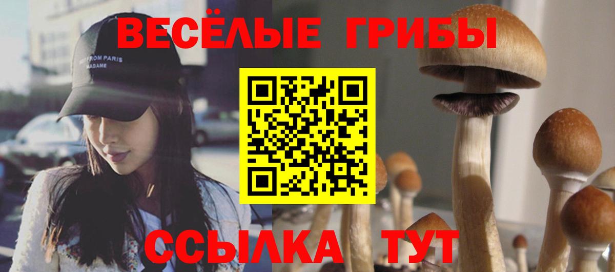 Галлюциногенные грибы мицелий Кондопога